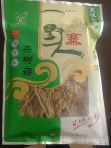 茶树菇批发 野寨茶树菇 有机食品 绿色食品