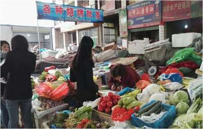 推进食品药品安全战略,建设健康美丽临洮