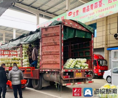 临沂强盛农产品批发市场为市民准备的 菜篮子 满当当